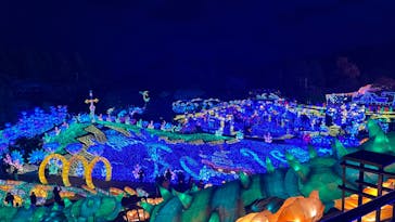 伊豆ぐらんぱる公園に投稿された画像（2022/12/12）