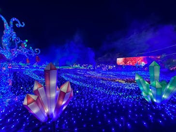 伊豆ぐらんぱる公園に投稿された画像（2022/12/12）