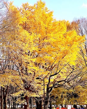 江戸東京たてもの園に投稿された画像（2022/12/12）