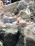 伊豆シャボテン動物公園に投稿された画像（2022/12/12）