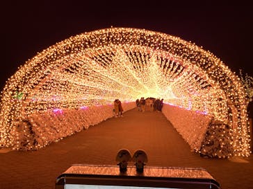 東京メガイルミに投稿された画像（2022/12/12）