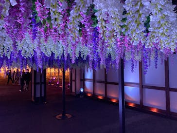 東京メガイルミに投稿された画像（2022/12/12）