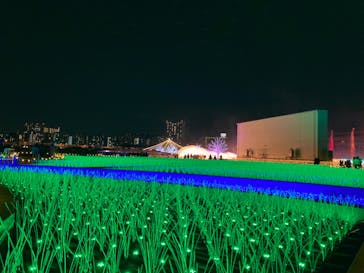 東京メガイルミに投稿された画像（2022/12/12）