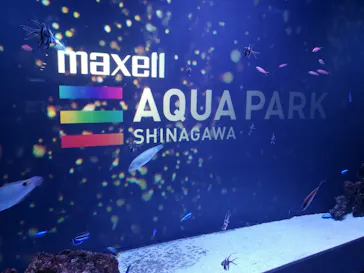 マクセル アクアパーク品川に投稿された画像（2022/12/12）