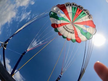 Sea World（シーワールド）に投稿された画像（2022/12/12）