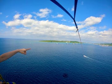 Sea World（シーワールド）に投稿された画像（2022/12/12）