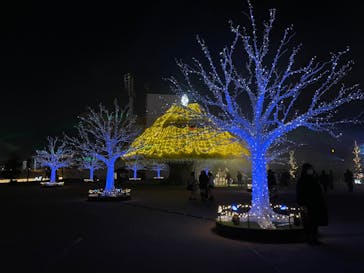 東京メガイルミに投稿された画像（2022/12/12）