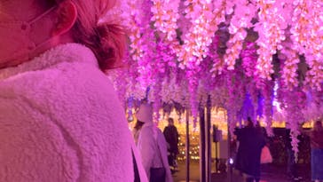 東京メガイルミに投稿された画像（2022/12/12）