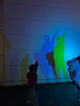 東京メガイルミに投稿された画像（2022/12/12）