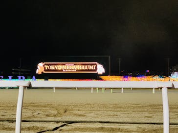 東京メガイルミに投稿された画像（2022/12/12）
