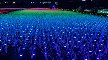 東京メガイルミに投稿された画像（2022/12/12）