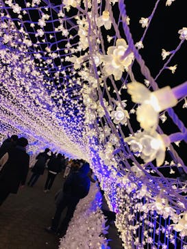 東京メガイルミに投稿された画像（2022/12/12）