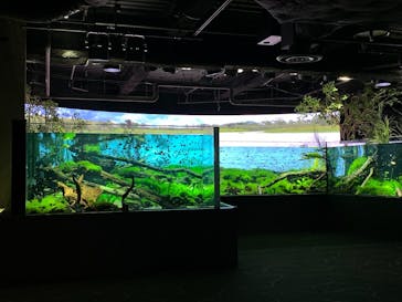 カワスイ 川崎⽔族館に投稿された画像（2021/6/14）