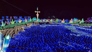 伊豆ぐらんぱる公園に投稿された画像（2022/12/12）
