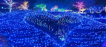 伊豆ぐらんぱる公園に投稿された画像（2022/12/12）