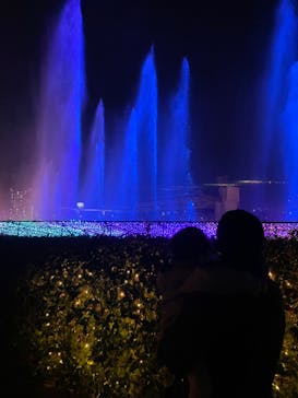 東京メガイルミに投稿された画像（2022/12/13）