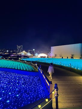 東京メガイルミに投稿された画像（2022/12/13）