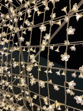 東京メガイルミに投稿された画像（2022/12/13）