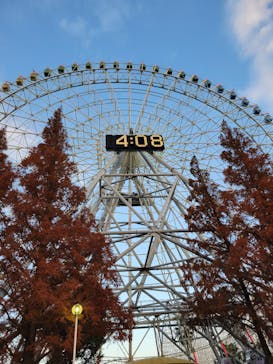 ナガシマスパーランドに投稿された画像（2022/12/13）