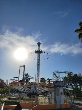 ナガシマスパーランドに投稿された画像（2022/12/13）