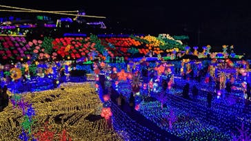 伊豆ぐらんぱる公園に投稿された画像（2022/12/13）