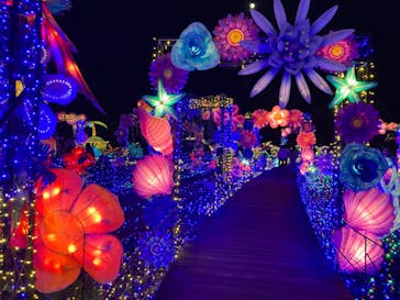 伊豆ぐらんぱる公園に投稿された画像（2022/12/13）