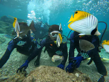 武藤潜水に投稿された画像（2022/12/13）