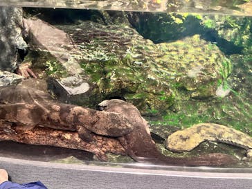 京都水族館に投稿された画像（2022/12/13）