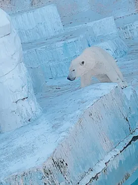 天王寺動物園に投稿された画像（2022/12/13）