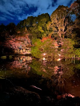 NAKEDヨルモウデ2022平安神宮に投稿された画像（2022/12/13）
