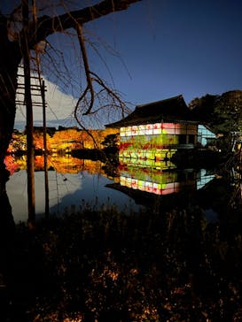 NAKEDヨルモウデ2022平安神宮に投稿された画像（2022/12/13）