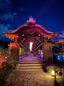 NAKEDヨルモウデ2022平安神宮に投稿された画像（2022/12/13）