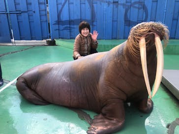 ゼロ距離水族館 伊勢シーパラダイスに投稿された画像（2022/12/13）