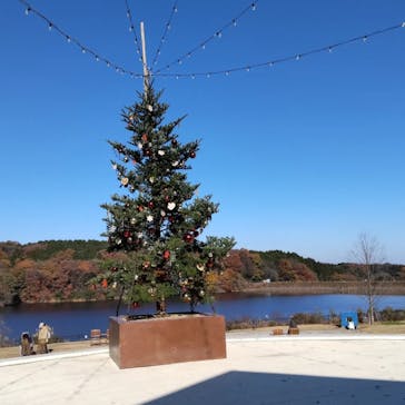 ムーミンバレーパークに投稿された画像（2022/12/13）