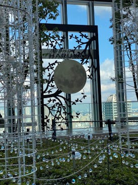 ハルカス300(展望台)に投稿された画像（2022/12/13）