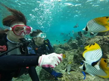 武藤潜水に投稿された画像（2022/12/13）