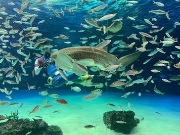サンシャイン水族館に投稿された画像（2022/12/13）