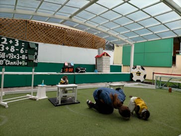 おさるランド＆アニタウン　日光さる軍団劇場に投稿された画像（2022/12/13）