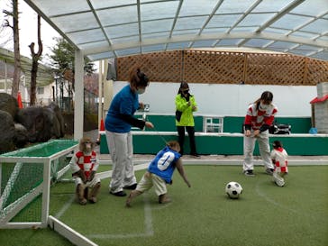 おさるランド＆アニタウン　日光さる軍団劇場に投稿された画像（2022/12/13）