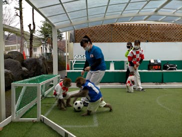 おさるランド＆アニタウン　日光さる軍団劇場に投稿された画像（2022/12/13）