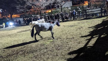 東京メガイルミに投稿された画像（2022/12/13）