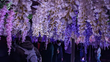 東京メガイルミに投稿された画像（2022/12/13）