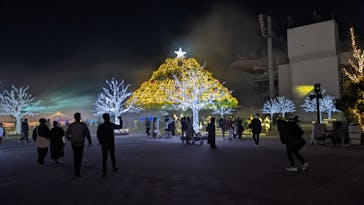 東京メガイルミに投稿された画像（2022/12/13）