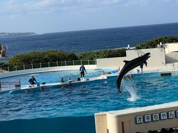沖縄美ら海水族館に投稿された画像（2022/12/13）
