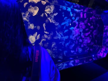 名古屋港水族館に投稿された画像（2022/12/13）