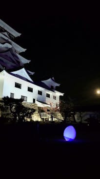 福山城400年博-FUKUYAMA CASTLE EXPO 2022- RCC開局70年 「チームラボ 福山城 光の祭」に投稿された画像（2022/12/13）