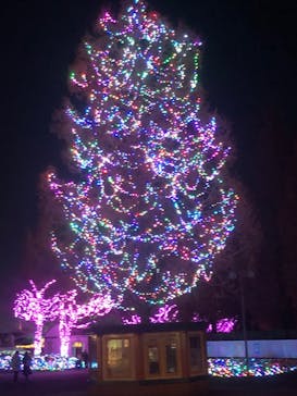 東武動物公園に投稿された画像（2022/12/13）