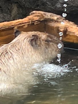 那須どうぶつ王国に投稿された画像（2022/12/13）