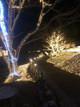 NESTA RESORT KOBE（ネスタリゾート神戸）に投稿された画像（2022/12/13）