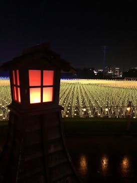 東京メガイルミに投稿された画像（2022/12/13）